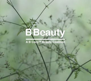 It’s B Corp Month! 

What are B corporations, you ask? - 
Companies that are certified to have a positive impact on planet, people, and the community; to be the best for the world, not in the world. 

Support B corp by purchasing Davines In salon! 

#bcorp #bcorporation #bbeauty #sustaiblebeauty